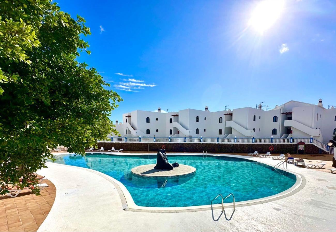 Apartamento en Costa Teguise - Apartamento SARA en el complejo Teguisol